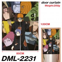 DML-2231