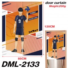 DML-2133