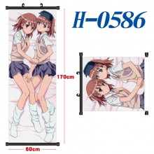 H-0586