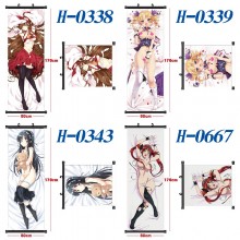 Queen's Blade anime wall scroll wallscrolls 60*170...