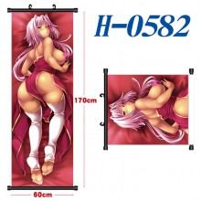 H-0582