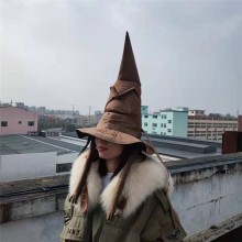 Harry Potter Hogwarts wizard hat