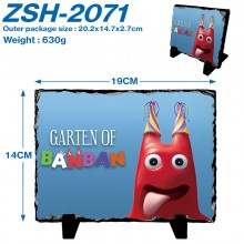 ZSH-2071