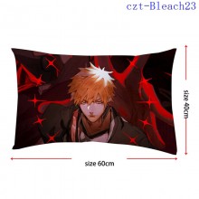 czt-Bleach23