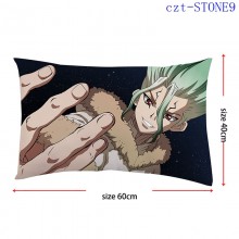 czt-STONE9