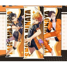 Haikyuu anime wall scroll wallscrolls 25*75CM