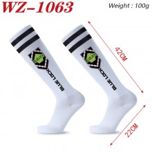 WZ-1063