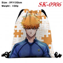 SK-0906