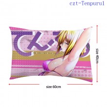 czt-Tenpuru1