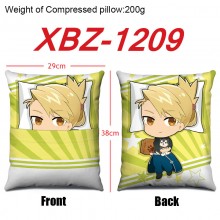 XBZ-1209