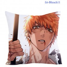 fzt-Bleach11