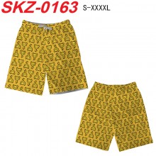 SKZ-0163