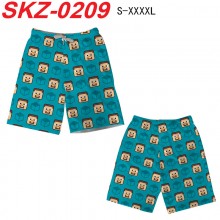 SKZ-0209