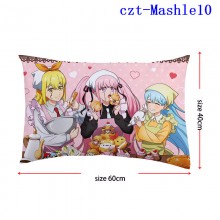 czt-Mashle10