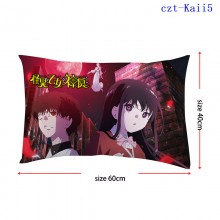 czt-Kaii5