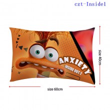 czt-Inside1