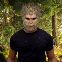 Black Myth Wukong game cosplay mask