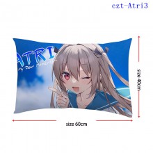 czt-Atri3