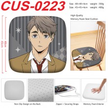 CUS-0223