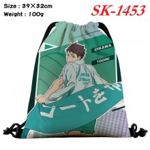 SK-1453