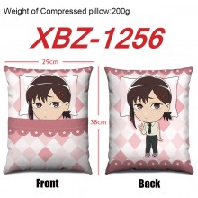 XBZ-1256