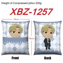 XBZ-1257