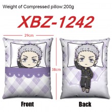 XBZ-1242