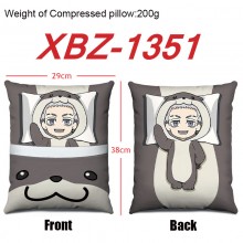 XBZ-1351