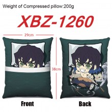 XBZ-1260