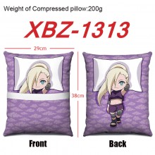 XBZ-1313