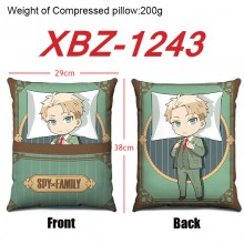 XBZ-1243