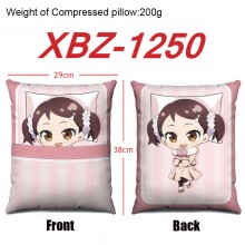 XBZ-1250