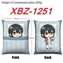 XBZ-1251