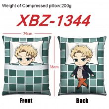 XBZ-1344
