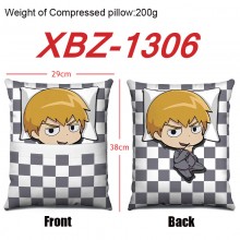 XBZ-1306