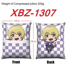 XBZ-1307