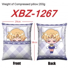 XBZ-1267