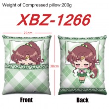 XBZ-1266