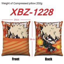 XBZ-1228