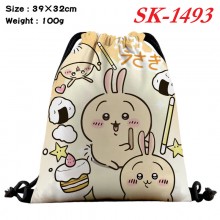 SK-1493
