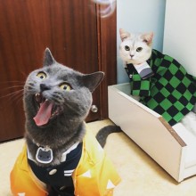 Demon Slayer anime Dog Cat Pet Costumes Shirt Clot...