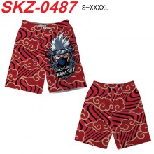SKZ-0487