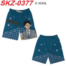SKZ-0377