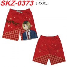 SKZ-0373