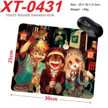 XT-0431