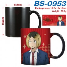 BS-0953