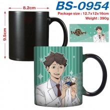 BS-0954