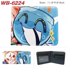 WB-6224