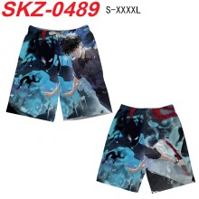 SKZ-0489