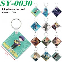 SY-0030